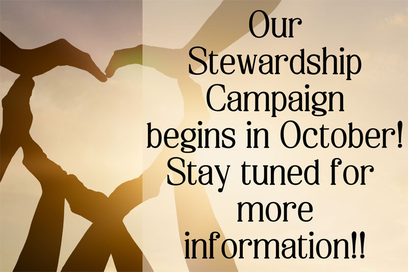 Our Stewardship Campaign